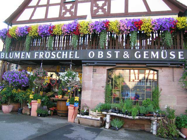 Blumen Fr�schel