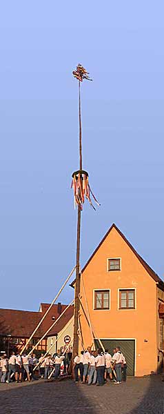 K�rwa-Baum 2003